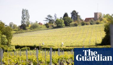 How an Essex valley became one of the UK’s most exciting new wine regions | Essex