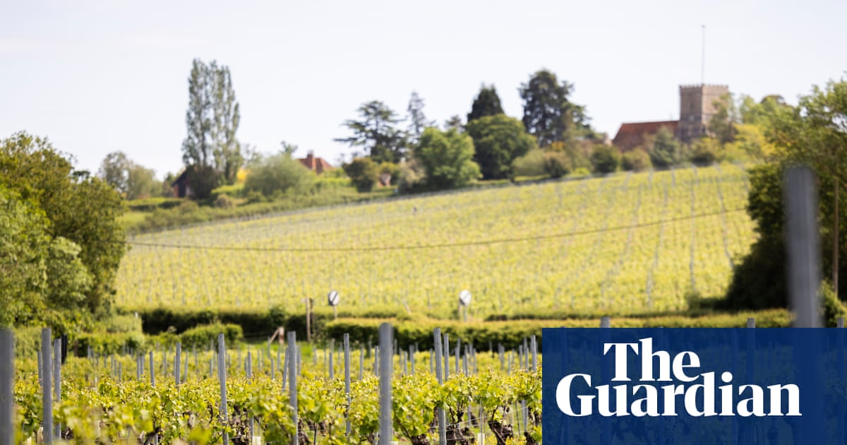 How an Essex valley became one of the UK’s most exciting new wine regions | Essex