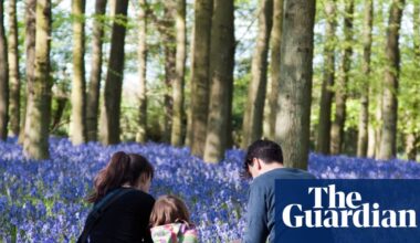 Half of UK adults say they spend less than three hours a week outside in nature | Access to green space