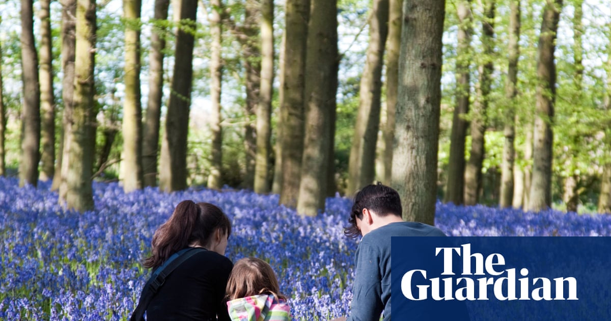 Half of UK adults say they spend less than three hours a week outside in nature | Access to green space