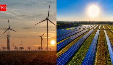 China Wind Turbine: China plans a giant overseas renewable energy plant with 1,000 turbines and millions of solar panels | World News