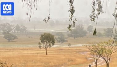 Drought-affected farmers welcome significant rainfall but some miss out