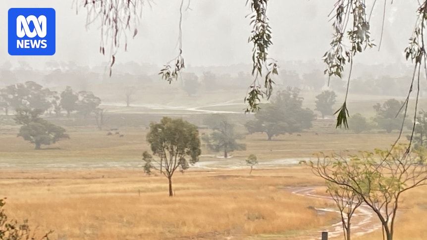 Drought-affected farmers welcome significant rainfall but some miss out