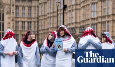 Student loans inquiry responses show ‘massive scale of frustration and upset’ | Student finance