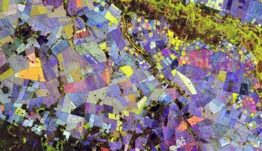 Painting the Growing Season in the Maize Triangle
