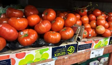 Tomatoes Become Latest Symbol Of America’s Affordability Squeeze