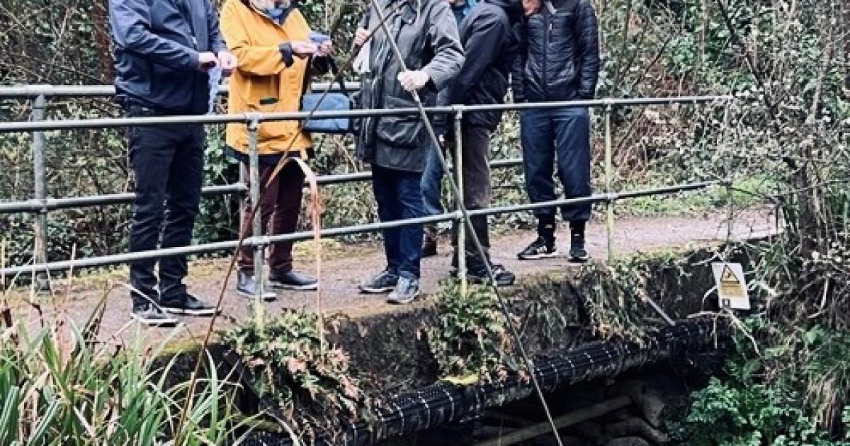 Dangerous sewage pollution warning for New Forest stream