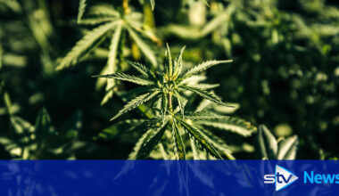 Man charged after cannabis cultivation worth £174,000 discovered in property