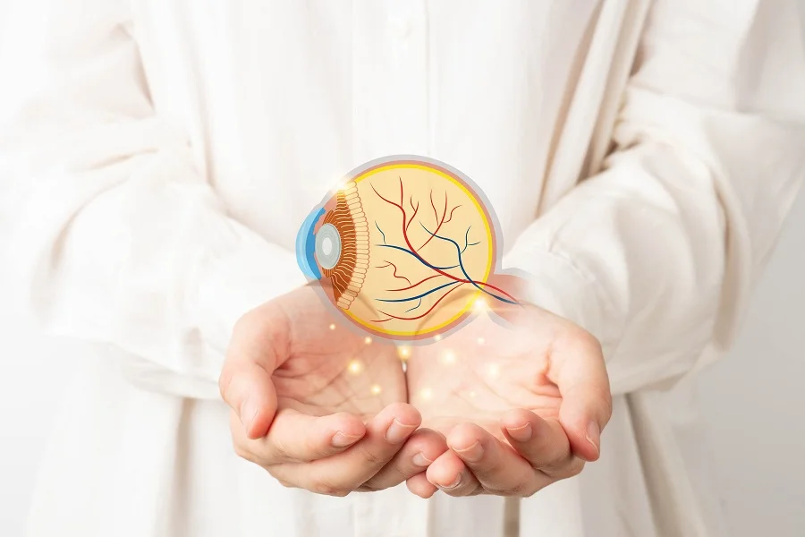 Diagram of an eyeball