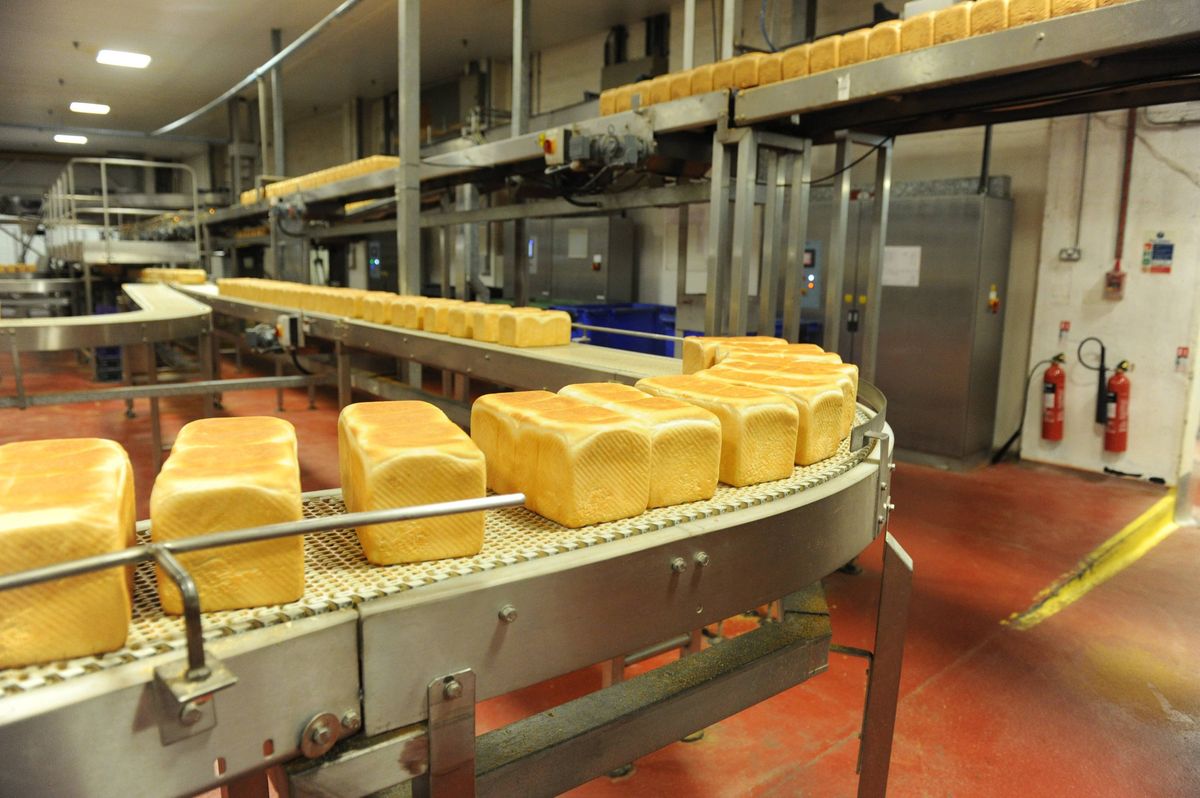 Loaves of bread on the production line at Jackson's Bakery in Derringham Street.