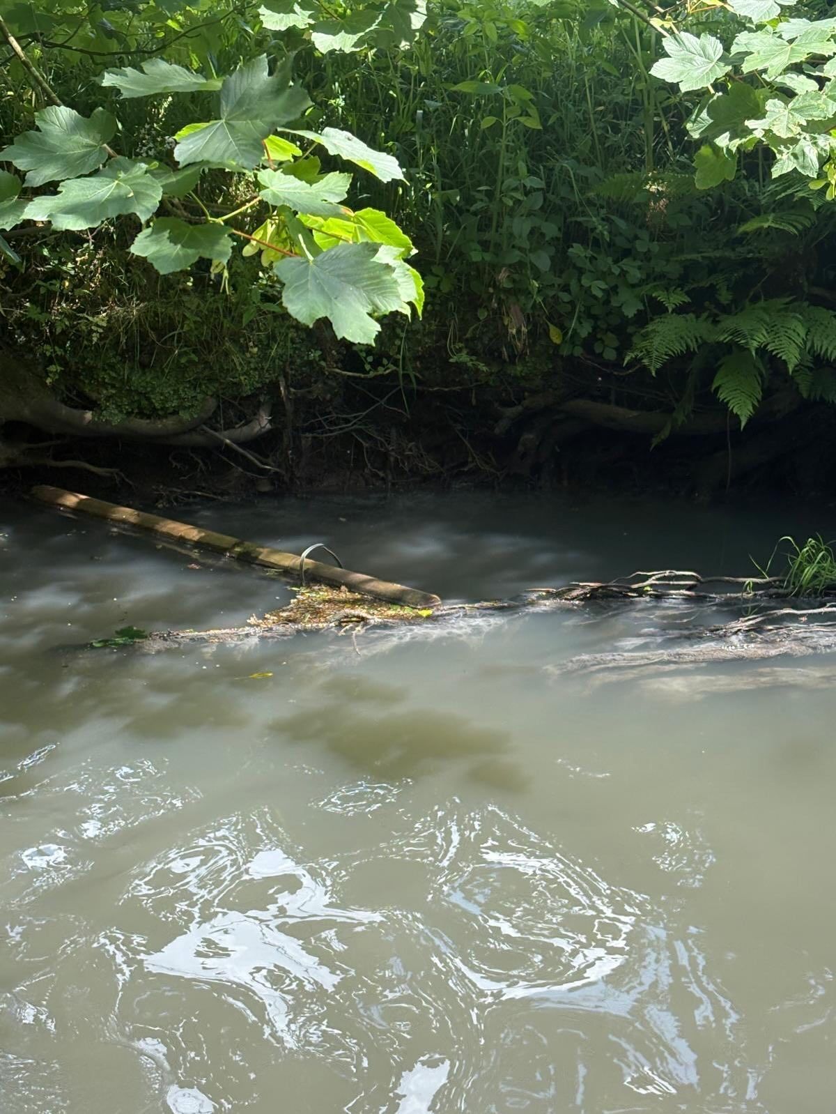 Murky river