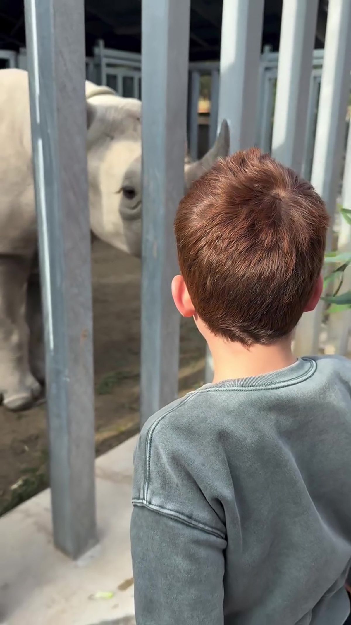 Meghan showed the back of Archie's head as he fed the animals