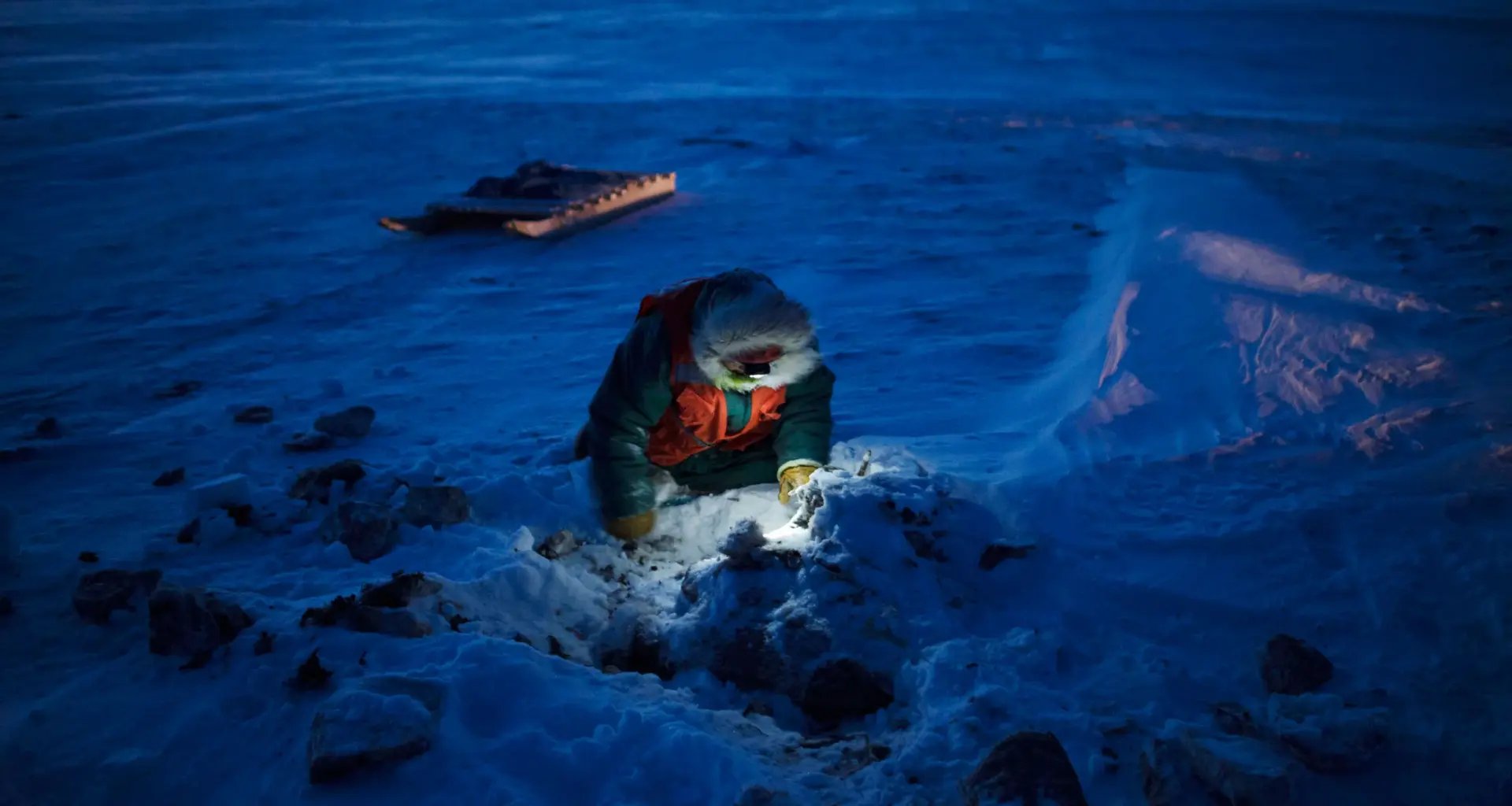 A Canadian Ranger in a parka digs up caribou meat, buried there months earlier to ferment in the cold earth. Behind him sits a komatik, a sturdy but flexible sled held together with bindings rather than screws.