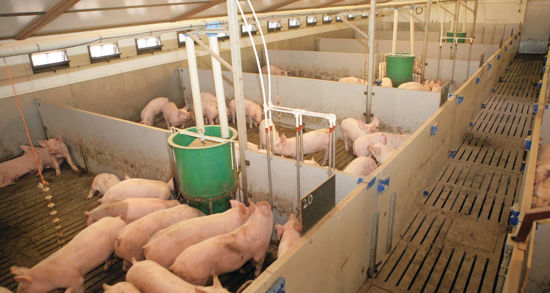 British pig association questions statistics in ammonia map