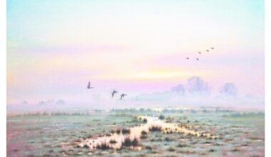 David Dane and his oil paintings of the Norfolk Broads