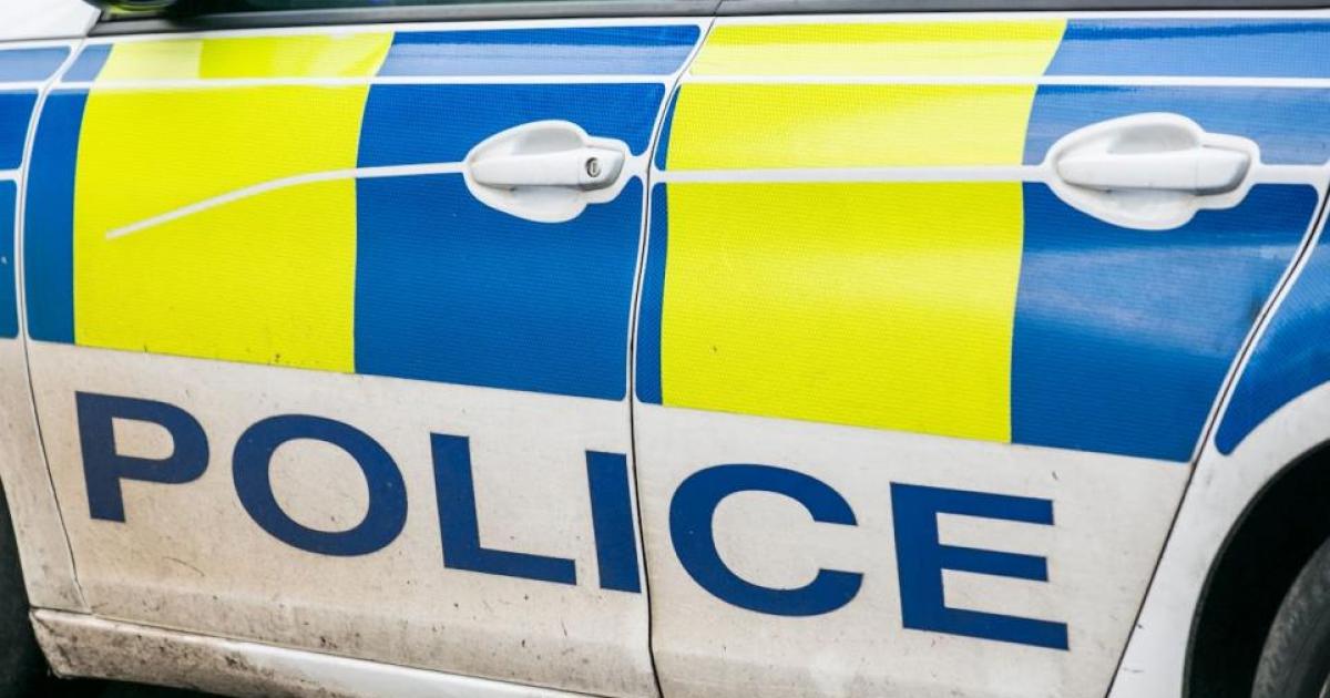 Three people arrested after dog attack in Middlesbrough