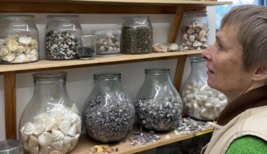 Blott: the internationally recognised shell artist