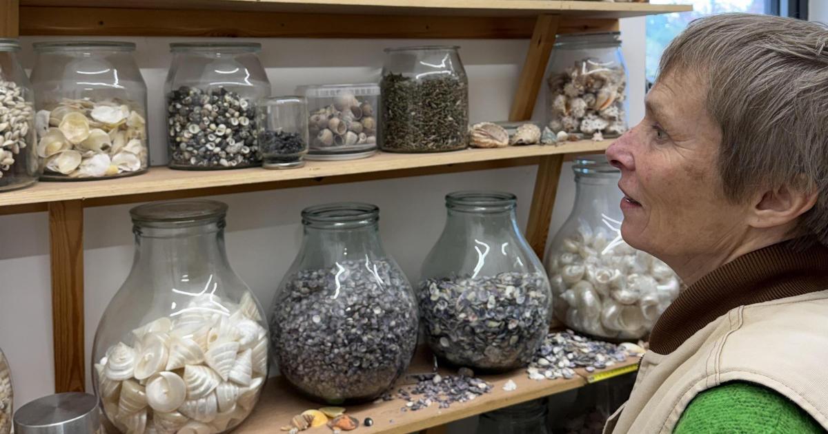 Blott: the internationally recognised shell artist
