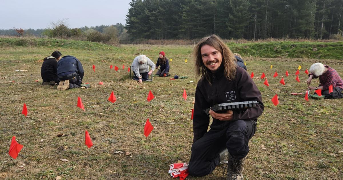 Norfolk Wildlife Trusts rare Spanish catchfly project
