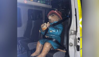 Paddington Bear statue targeted by vandals again in city