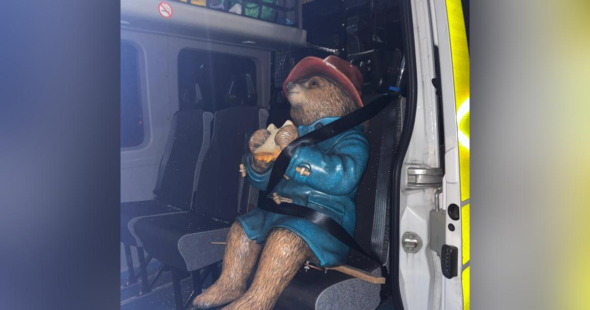 Paddington Bear statue targeted by vandals again in city