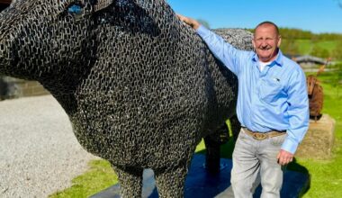 Winston farmer’s giant chain bull to visit Clarkson's Diddly Squat