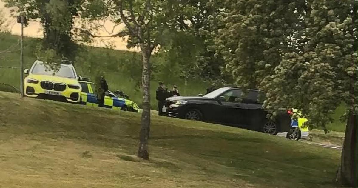 Woman seriously assaulted in Salisbury as police on man hunt