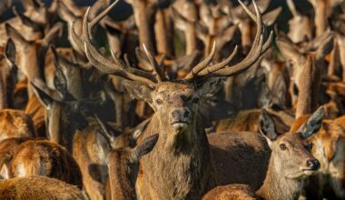 Otley Camera Club invites visitors to annual photography exhibition