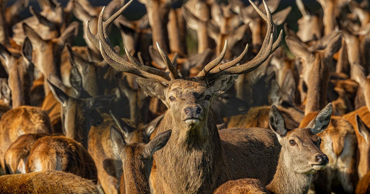 Otley Camera Club invites visitors to annual photography exhibition