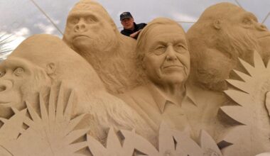Incredible Sir David Attenborough sand sculpture in Weymouth