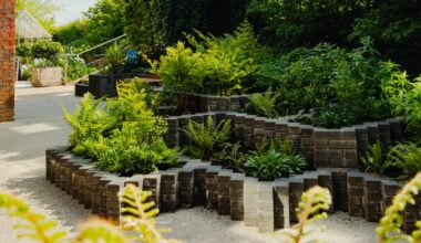 New award-winning garden opens at Salisbury Hospital