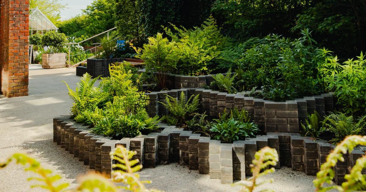 New award-winning garden opens at Salisbury Hospital