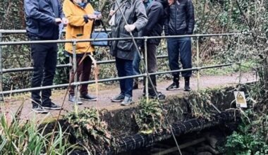 Dangerous sewage pollution warning for New Forest stream