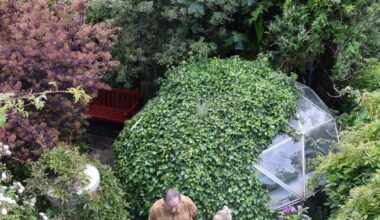 York - Acomb Opens Gardens sells out its first event