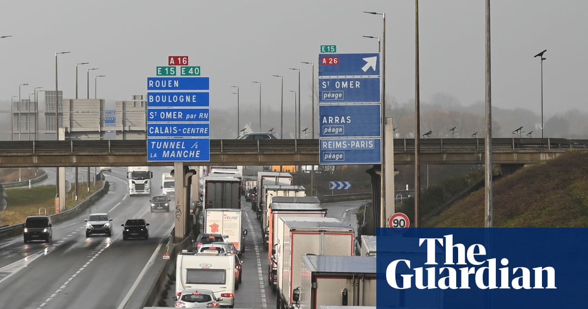 Brexit rules on food exports to be scrapped, government confirms | Brexit