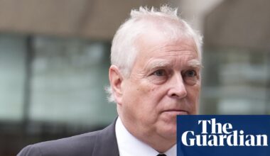 Palace was given emails about Andrew’s trade envoy activities six years ago, report says | UK news