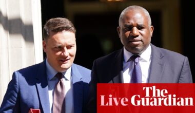 Lammy dismisses Streeting’s call for UK to rejoin EU as ‘sixth form’ debating position – UK politics live | Politics