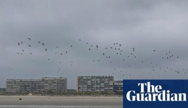 Sudanese woman and 16-year-old girl reportedly die trying to cross Channel | Immigration and asylum