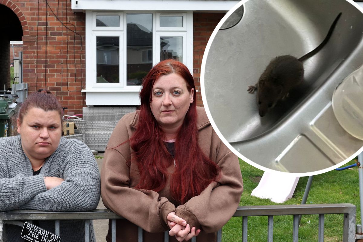 Neighbours Janeva Grimmick, 27, and Christina Lee, 32, who have a rat infestation on their street in North Shields
