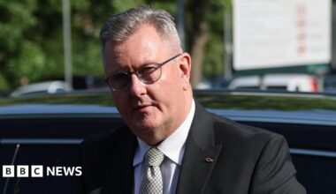 Sir Jeffrey Donaldson has short, cropped grey hair. He is wearing black-rimmed glasses and a dark grey suit, white shirt and grey patterned tie. He is standing in front of a black car and is carrying a brown leather satchel bag in front of him.