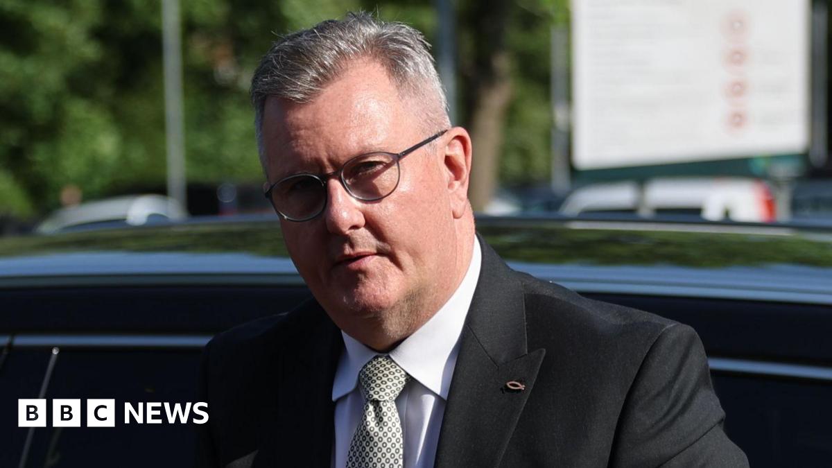 Sir Jeffrey Donaldson has short, cropped grey hair. He is wearing black-rimmed glasses and a dark grey suit, white shirt and grey patterned tie. He is standing in front of a black car and is carrying a brown leather satchel bag in front of him.