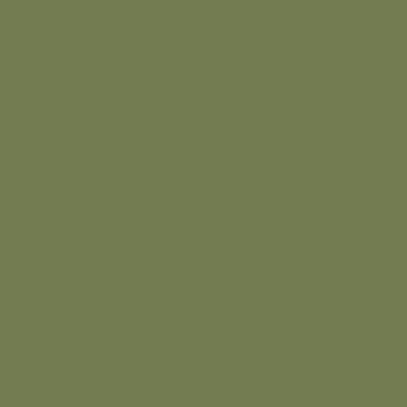 earthy green paint swatch