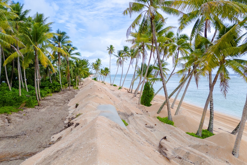 An ocean sand barrier on the reef island of Nanumanga — it's only 3 kilometres square in size with a population less than 400.