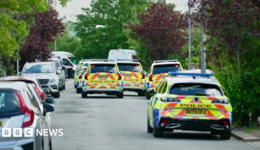 Police cars line a leafy residential street in Bedford - there are other parked vehicles on the left