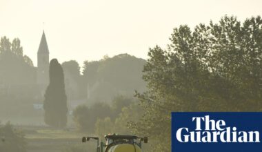 EU trade deal could force UK to restrict use of weedkiller linked to cancer | Farming