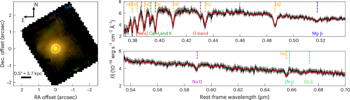 A massive and evolved slow-rotating galaxy in the early Universe