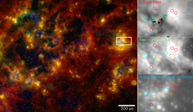 The emerging timescale of young star clusters regulated by cluster stellar mass