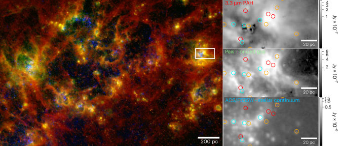 The emerging timescale of young star clusters regulated by cluster stellar mass