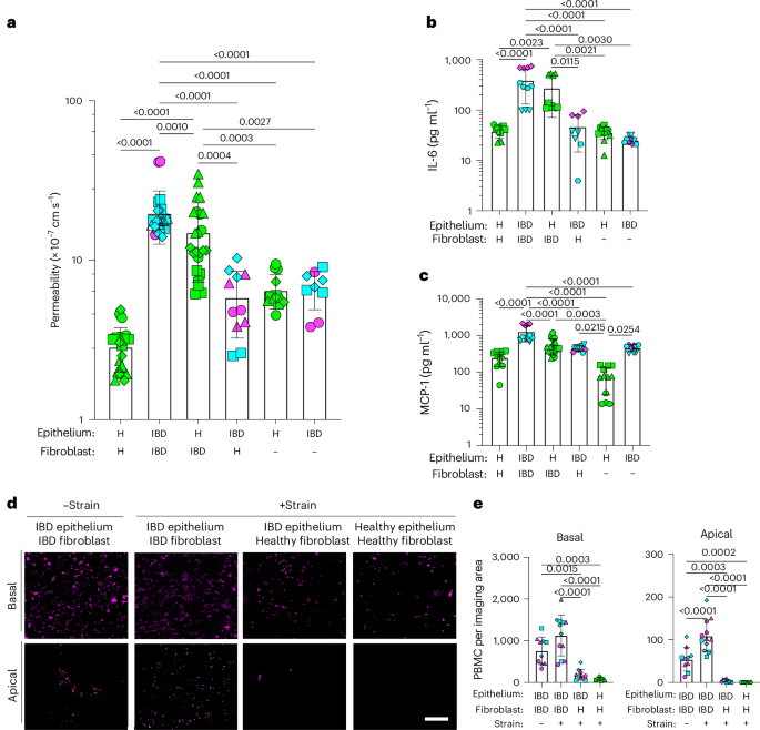 Fig. 4: Tissue recombinant chips reveal that the IBD fibroblasts drive compromise of the permeability barrier and inflammation in the epithelium.