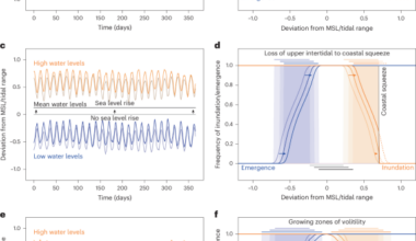 Future changes in seasonal sea-level variability could reshape coastal ecosystems